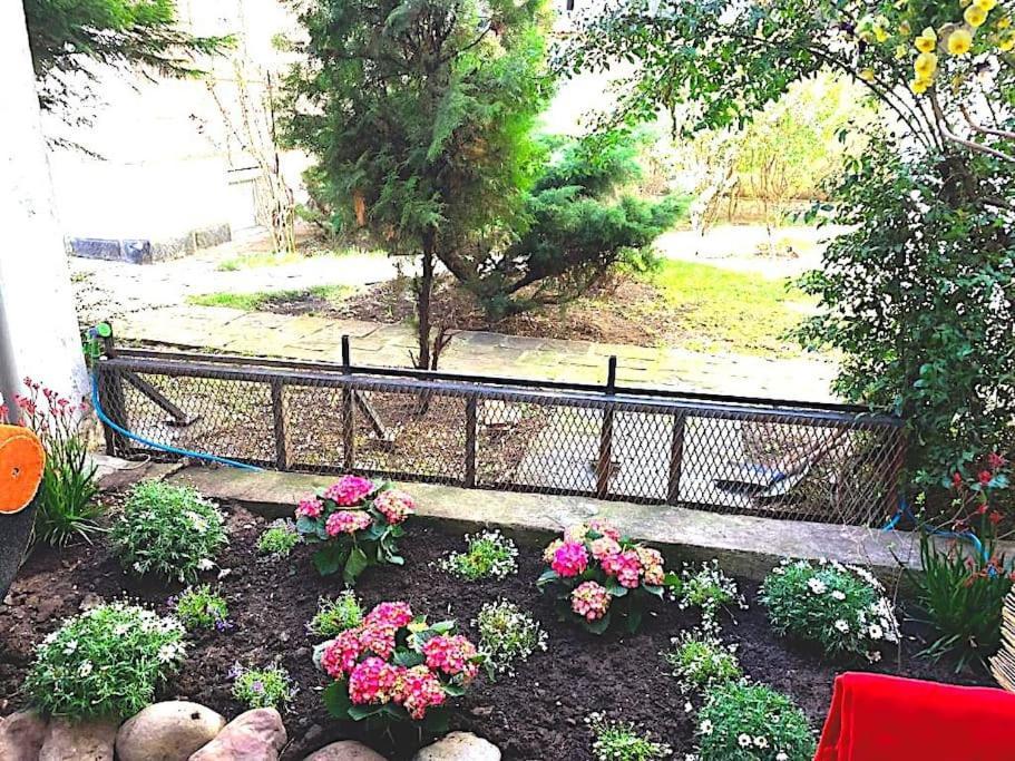 Appartamento King Lux - Top Location - Massage - Garden! *